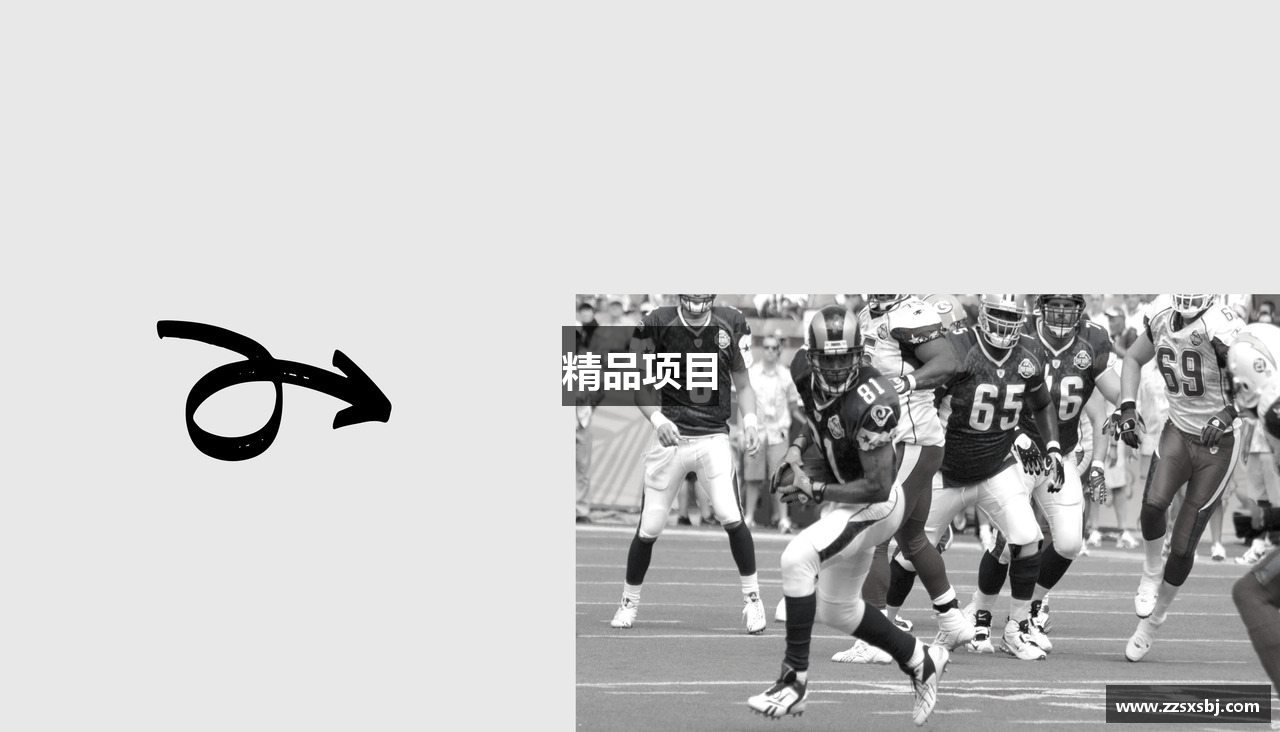 精品项目